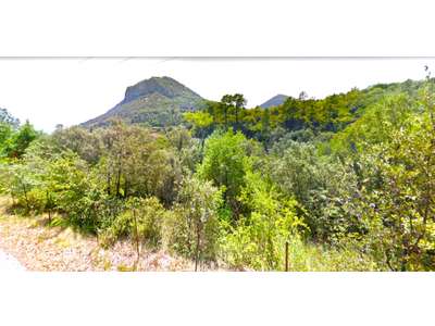 Vente Camping dans le Gard