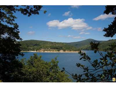 Vente Camping dans le Languedoc-Roussillon