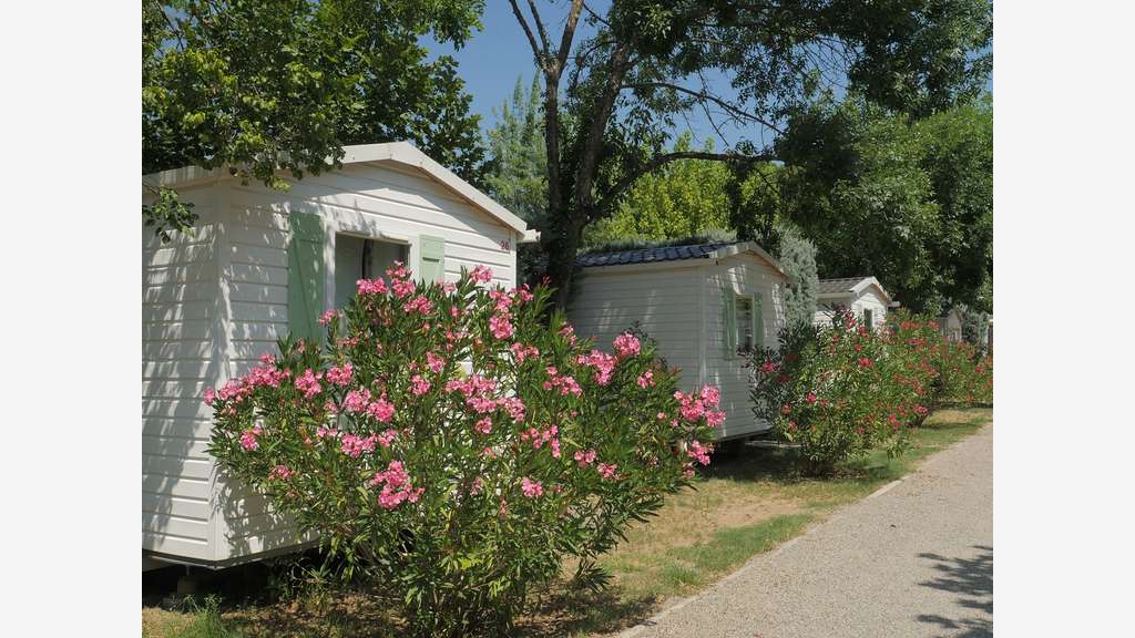 Vente camping familial **** en Sud Ardèche