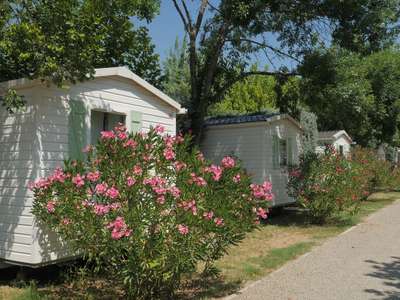 Vente camping familial **** en Sud Ardèche