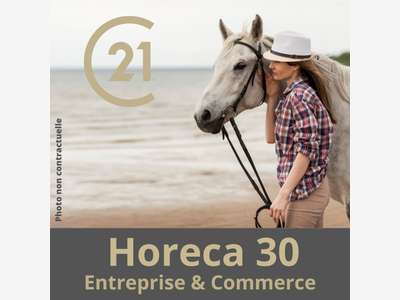 Vente centre equestre à Saintes Maries de la Mer