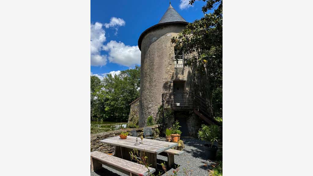 Magnifique Château Rénové avec Dépendances