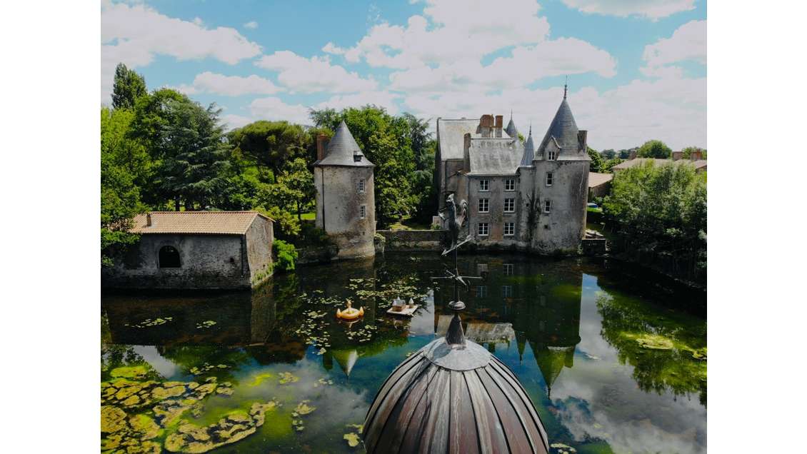 Magnifique Château Rénové avec Dépendances