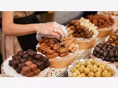 Vente chocolaterie confiserie Golfe du Morbihan