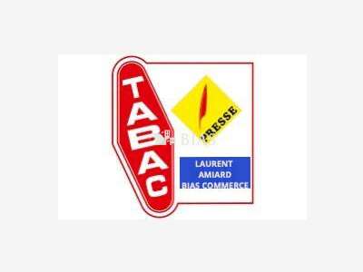 Vente FDC civette presse loto au centre de Caen