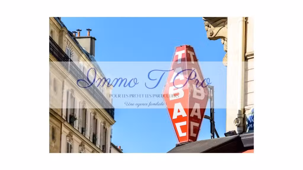 Vente civette cave à cigares bel arrondissement 