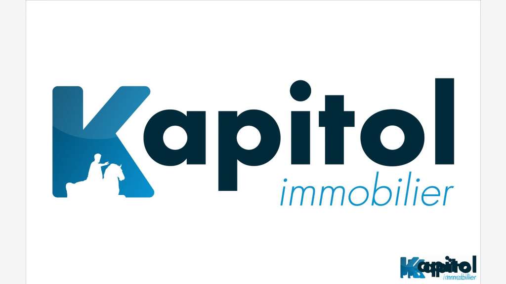 Vente civette tabac FDJ à Paris emplacement N°1