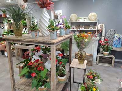 Vente magasin de fleurs en Haute Saône