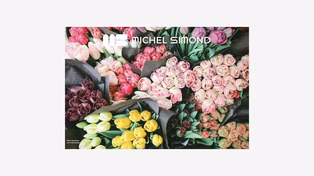 AV FDC fleuriste en centre-ville proche de Rennes