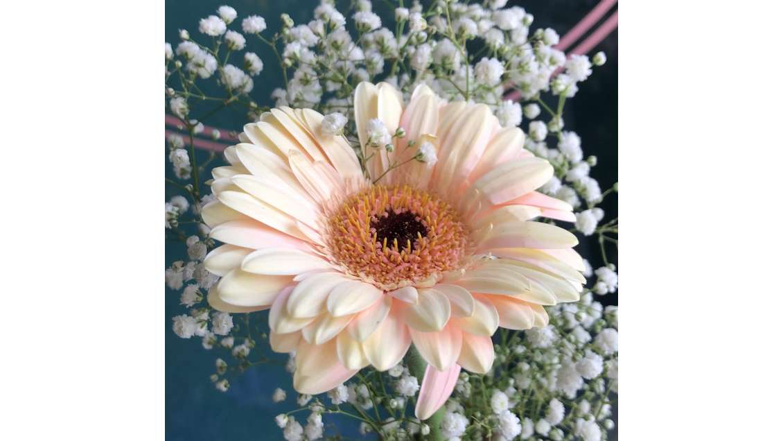 Cède Fleuriste traditionnel axe passant Paris 12