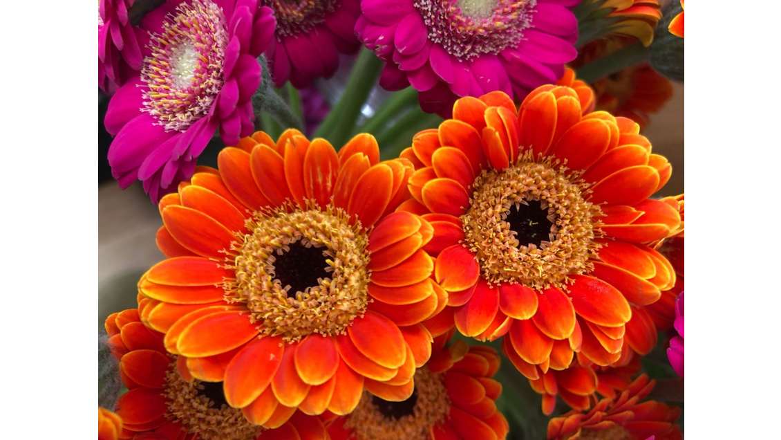 AV fleuriste traditionnel empl N°1 Paris 75015