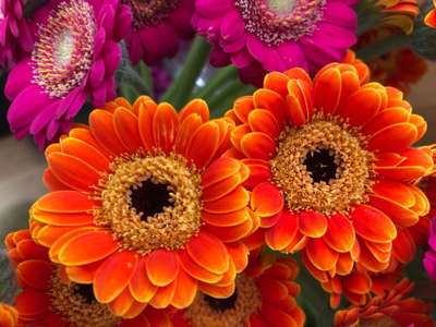 Vente Cadeaux - Fleurs à Paris 15e