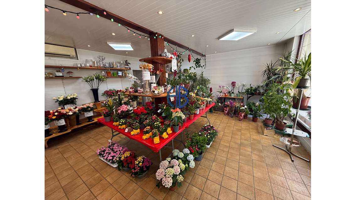 Vente boutique florale à Saint Simeon De Bressieux