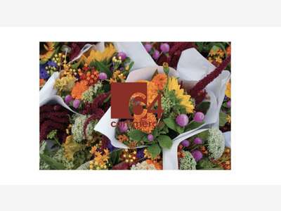 Vente murs + FDC fleuriste aux portes de Bayonne
