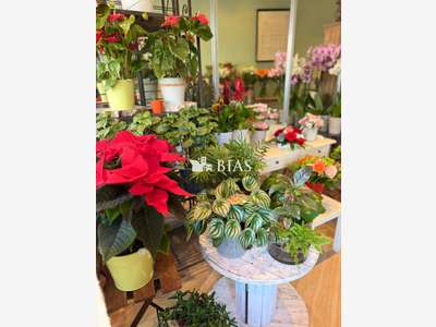 A vendre FDC fleuriste quartier dynamique 94