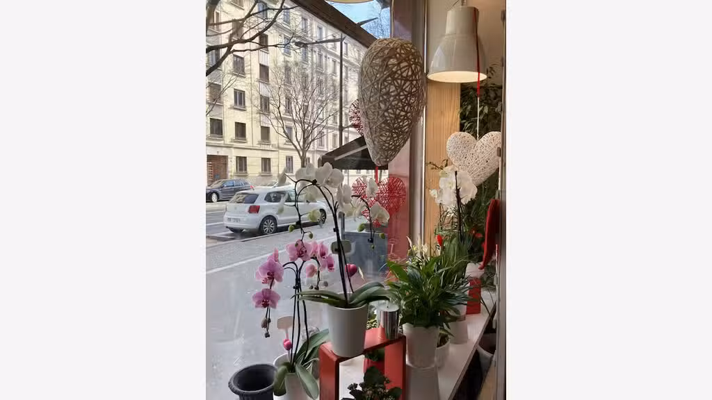 Cède FDC fleurs de 70m² à Lyon 69007 Gerland