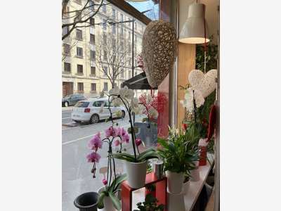 Cède FDC fleurs de 70m² à Lyon 69007 Gerland
