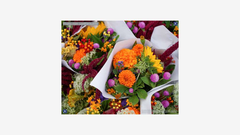 Vente beau magasin de fleurs sur la Dordogne