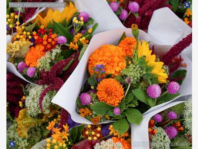 Vente beau magasin de fleurs sur la Dordogne