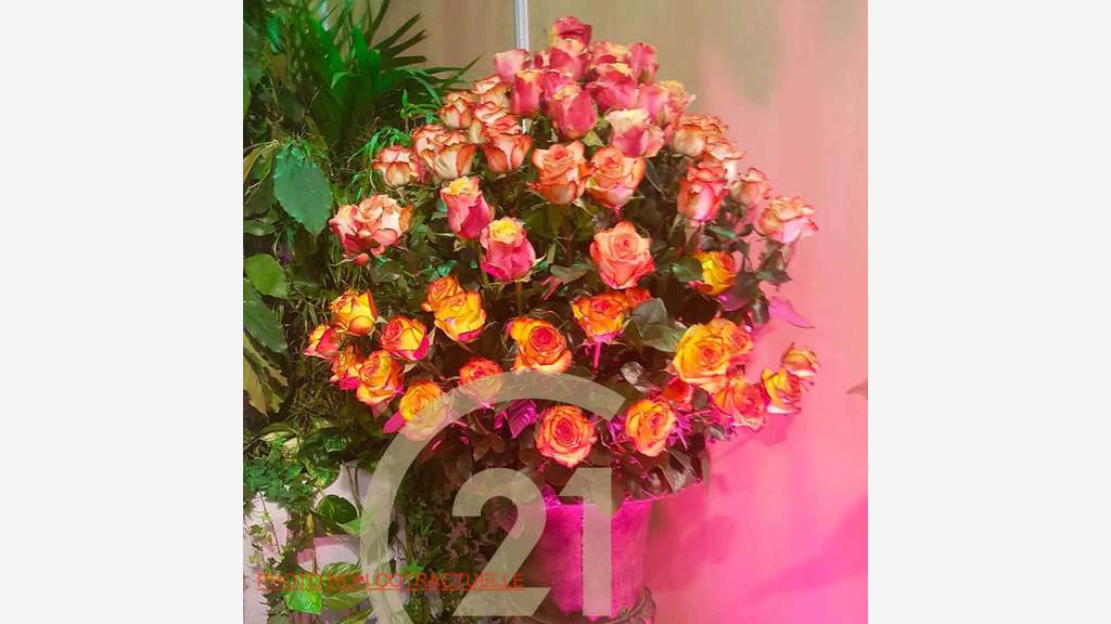 Vente FDC magasin de fleurs au coeur de la Bresse