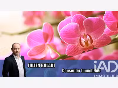 Vente FDC de fleurs à Corlay empl de 1er choix