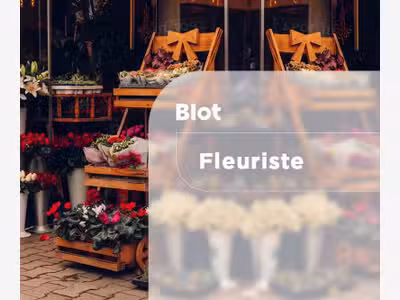 A vendre FDC fleuriste entre Paimpol et Plérin