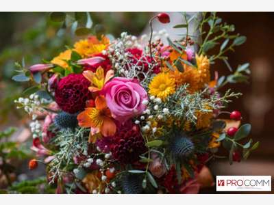 FDC fleuriste à vendre proche de Fontoy