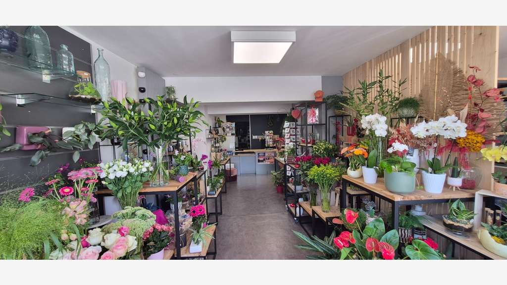 Vente fonds et murs fleuriste + immeuble à Gerzat