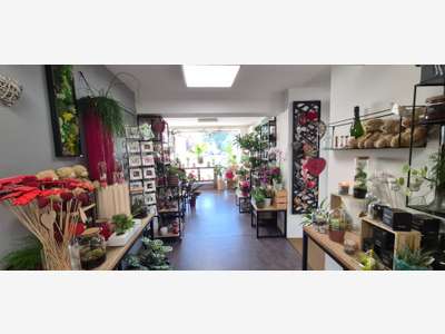 Vente fonds et murs fleuriste + immeuble à Gerzat