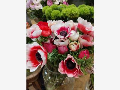 Vente fleuriste traditionnel en angle 92