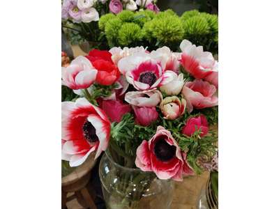 Vente Cadeaux - Fleurs à Boulogne-Billancourt