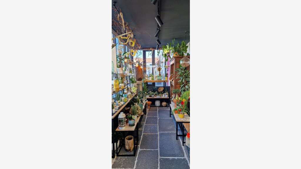 Fleuriste à vendre à LE CENDRE (63) !