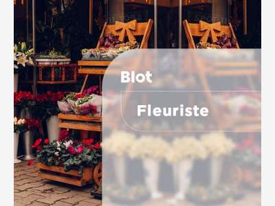 À acheter magnifique fleuriste Maine et Loire (49)