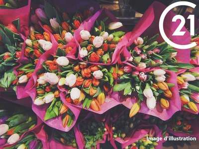 Vente FDC Fleuriste en Pyrénées Orientales Sud