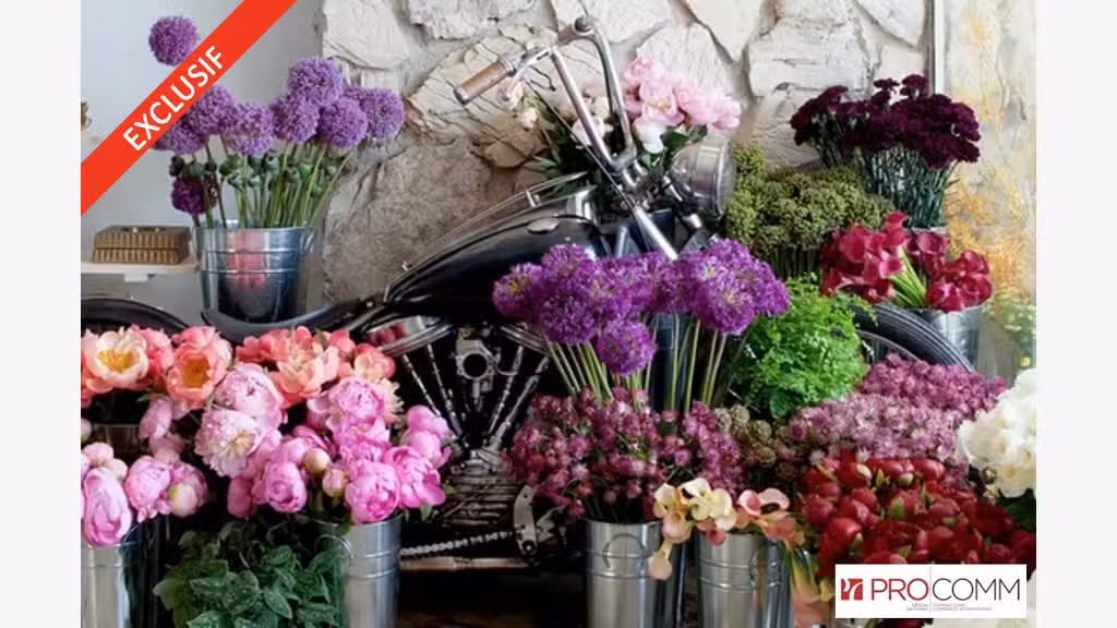 Vente FDC fleurs déco et accessoires à Saint Leu
