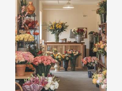 AV FDC Fleuriste sur axe principal Saône et Loire