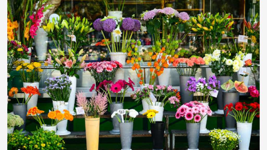 Vente FDC fleuriste en ville dynamique Finistère