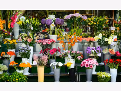 Vente FDC fleuriste en ville dynamique Finistère