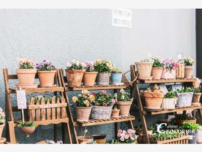 À SAISIR – Fleuriste & Jardinerie en bord de mer –
