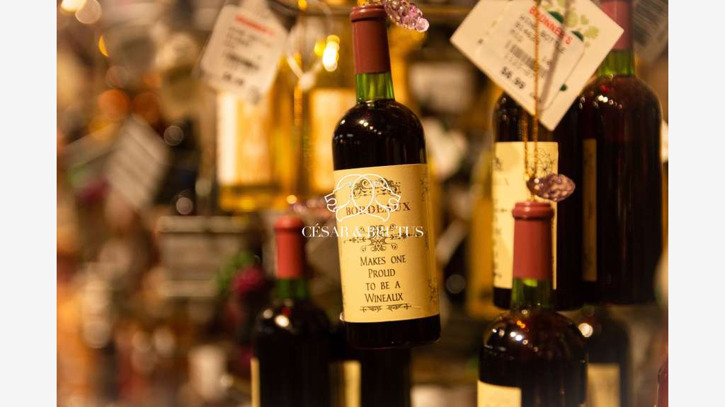 Vente bar à vins cave à vins de 40m² à Lyon 05