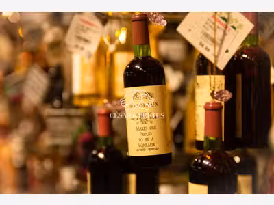 Vente bar à vins cave à vins de 40m² à Lyon 05