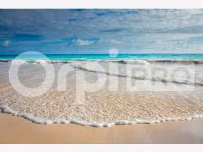 MARSEILLAN - FONDS DE COMMERCE à vendre
