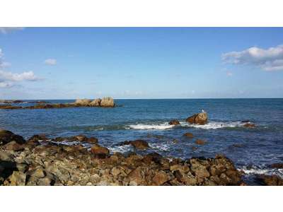 Vente Loisirs - Tourisme à Saint-Vaast-la-Hougue