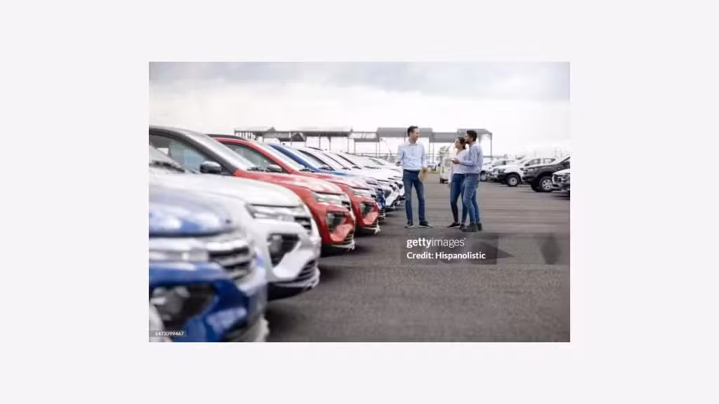 AV concessionnaire multimarques vo/vn 30mn Vannes