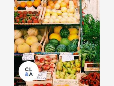 Vente cours des halles en Seine Maritime