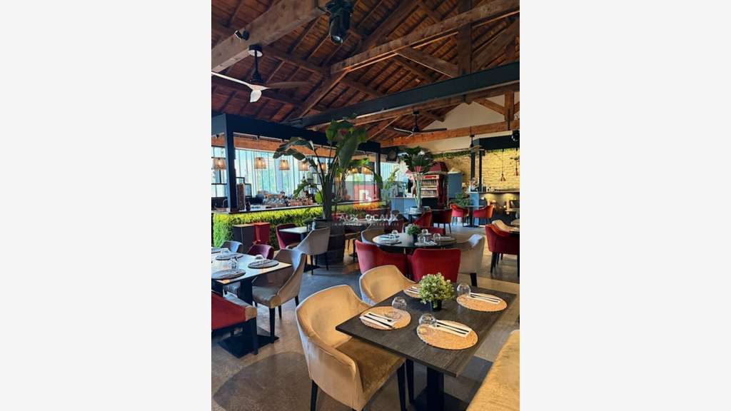 Pizzeria rôtisserie terrasse à vendre à Bedoin