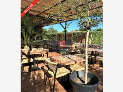 Pizzeria rôtisserie terrasse à vendre à Bedoin