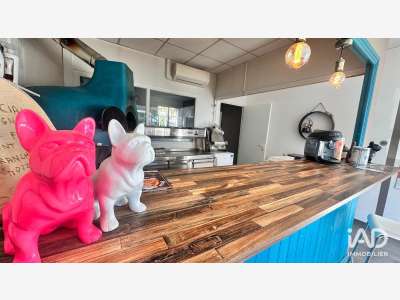 Vente pizzeria au feu de bois Le Crès