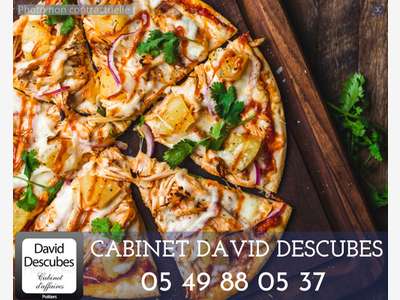A vendre pizzeria burgers viandes salades à Niort