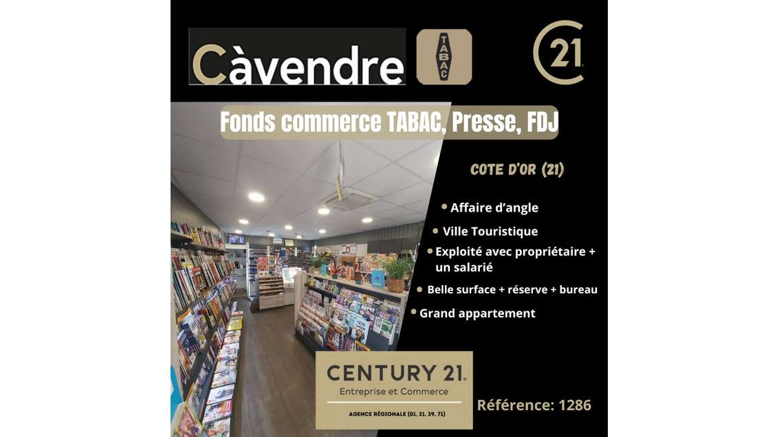 Vente tabac presse ville touristique Côte-d'Or